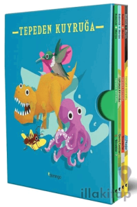 Tepeden Kuyruğa Kutulu Set (4 Kitap)