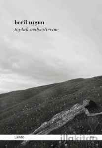 Toyluk Mahsullerim