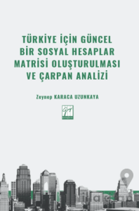 Türkiye İçin Güncel Bir Sosyal Hesaplar Matrisi Oluşturulması ve Çarpan Analizi