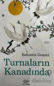 Turnaların Kanadında