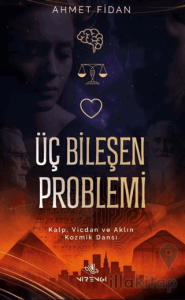 Üç Bileşen Problemi