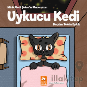 Uykucu Kedi