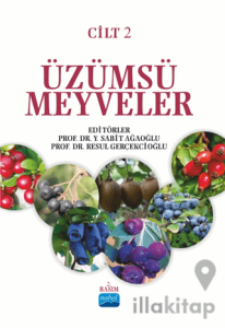 Üzümsü Meyveler - Cilt 2