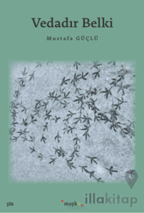 Vedadır Belki