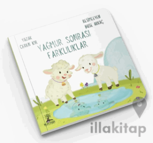 Yağmur Sonrası Farklılıklar