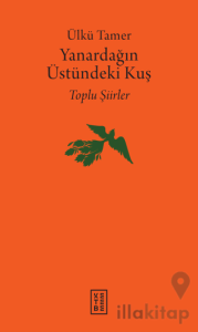 Yanardağın Üstündeki Kuş