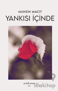 Yankısı İçinde
