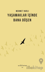 Yaşamaklar İçinde Bana Düşen