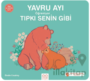 Yavru Ayı Öğreniyor Tıpkı Senin Gibi