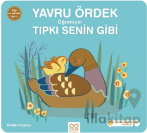 Yavru Ördek Öğreniyor Tıpkı Senin Gibi