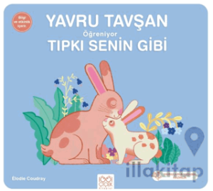 Yavru Tavşan Öğreniyor Tıpkı Senin Gibi