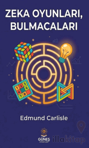 Zeka Oyunları, Bulmacaları