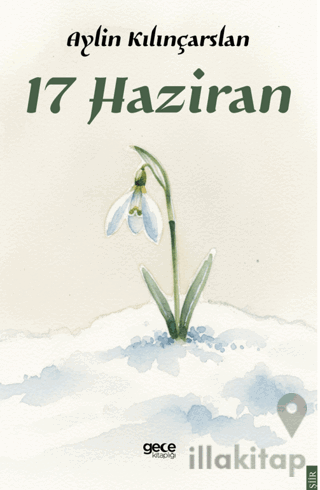 17 Haziran