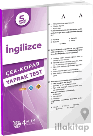 5. Sınıf İngilizce Çek Kopar Yaprak Test