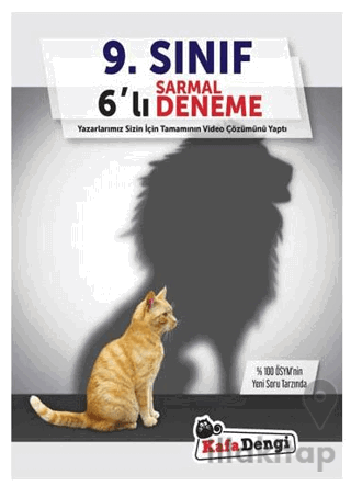 9. Sınıf Sarmal Deneme Seti / 6'lı Paket (Tümü Video Çözümlü)