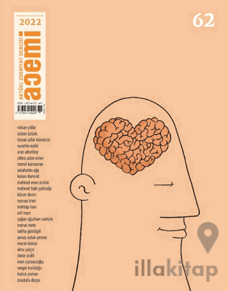 Acemi Aktüel Edebiyat Dergisi Sayı: 62 Temmuz-Ağustos-Eylül 2022 Sayısı