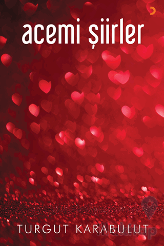Acemi Şiirler