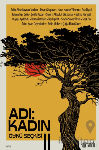 Adı Kadın 2. Öykü Seçkisi