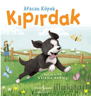 Afacan Köpek Kıpırdak