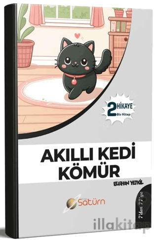 Akıllı Kedi Kömür