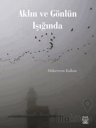 Aklın ve Gönlün Işığında