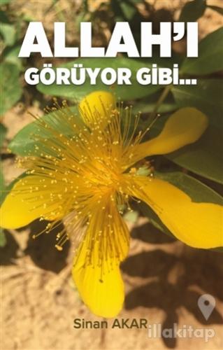 Allah'ı Görüyor Gibi
