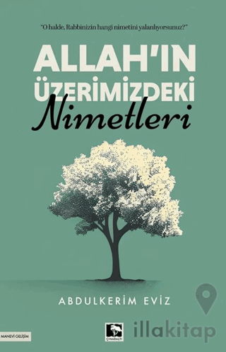 Allah'ın Üzerimizdeki Nimetleri