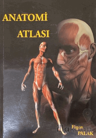Anatomi Atlası