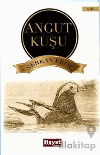 Angut Kuşu