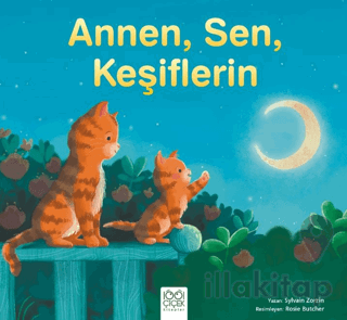 Annen, Sen, Keşiflerin