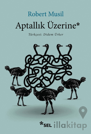 Aptallık Üzerine