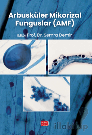 Arbusküler Mikorizal Funguslar (AMF)
