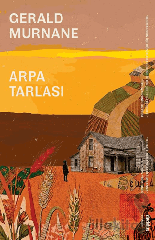 Arpa Tarlası