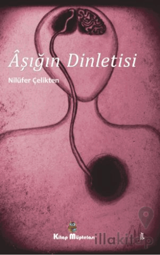 Aşığın Dinletisi