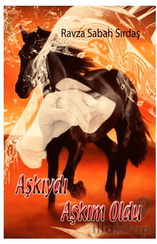 Aşkıydı Aşkım Oldu