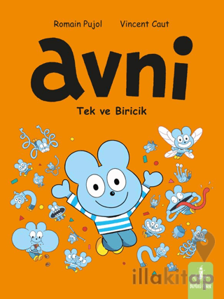 Avni