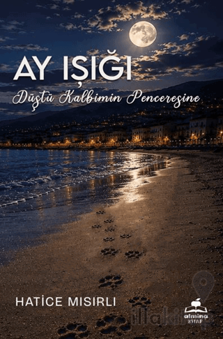 Ay Işığı