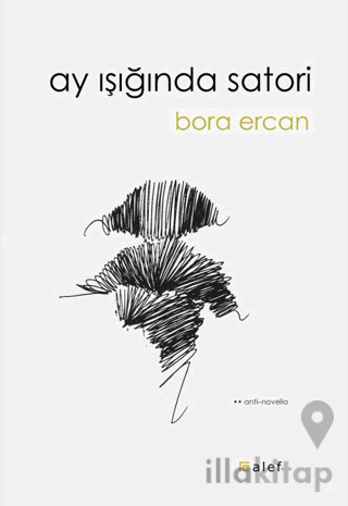 Ay Işığında Satori