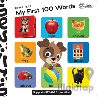 Baby Einstein: Lift A Flap My First 100 Words