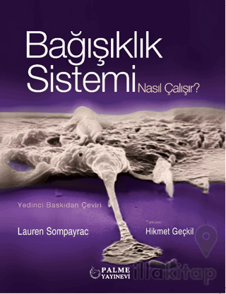 Bağışıklık Sistemi Nasıl Çalışır