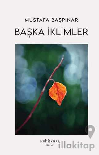 Başka İklimler