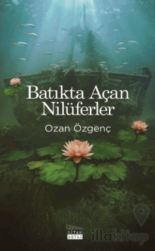 Batıkta Açan Nilüferler