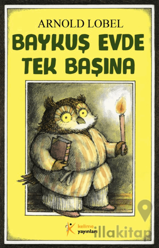 Baykuş Evde Tek Başına