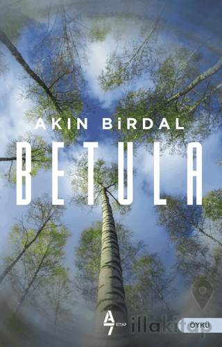 Betula