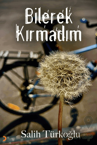 Bilerek Kırmadım