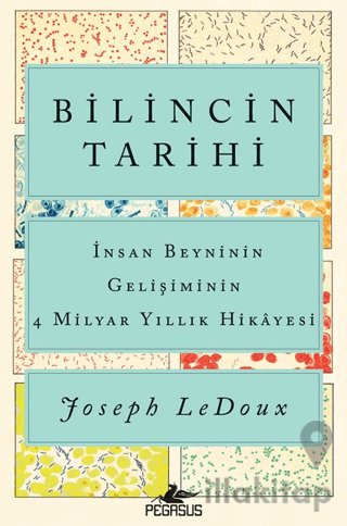 Bilincin Tarihi: İnsan Beyninin Gelişiminin 4 Milyar Yıllık Hikayesi