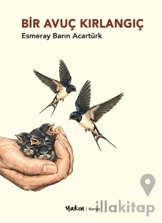 Bir Avuç Kırlangıç