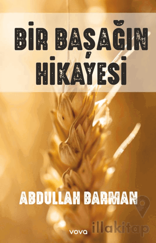 Bir Başağın Hikayesi