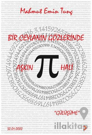 Bir Ceylanın Gözlerinde Aşkın Pi Hali