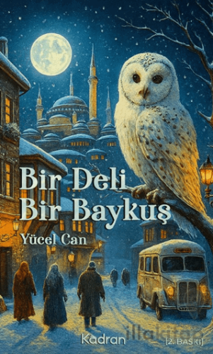 Bir Deli Bir Baykuş